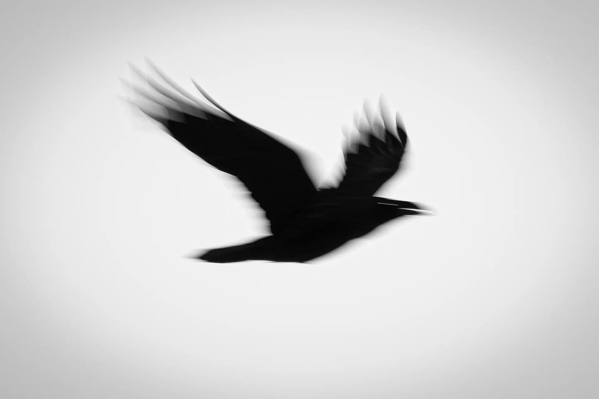 Wejście do karpackiego dworku od strony ogrodu oraz dwa rozłożone leżaki