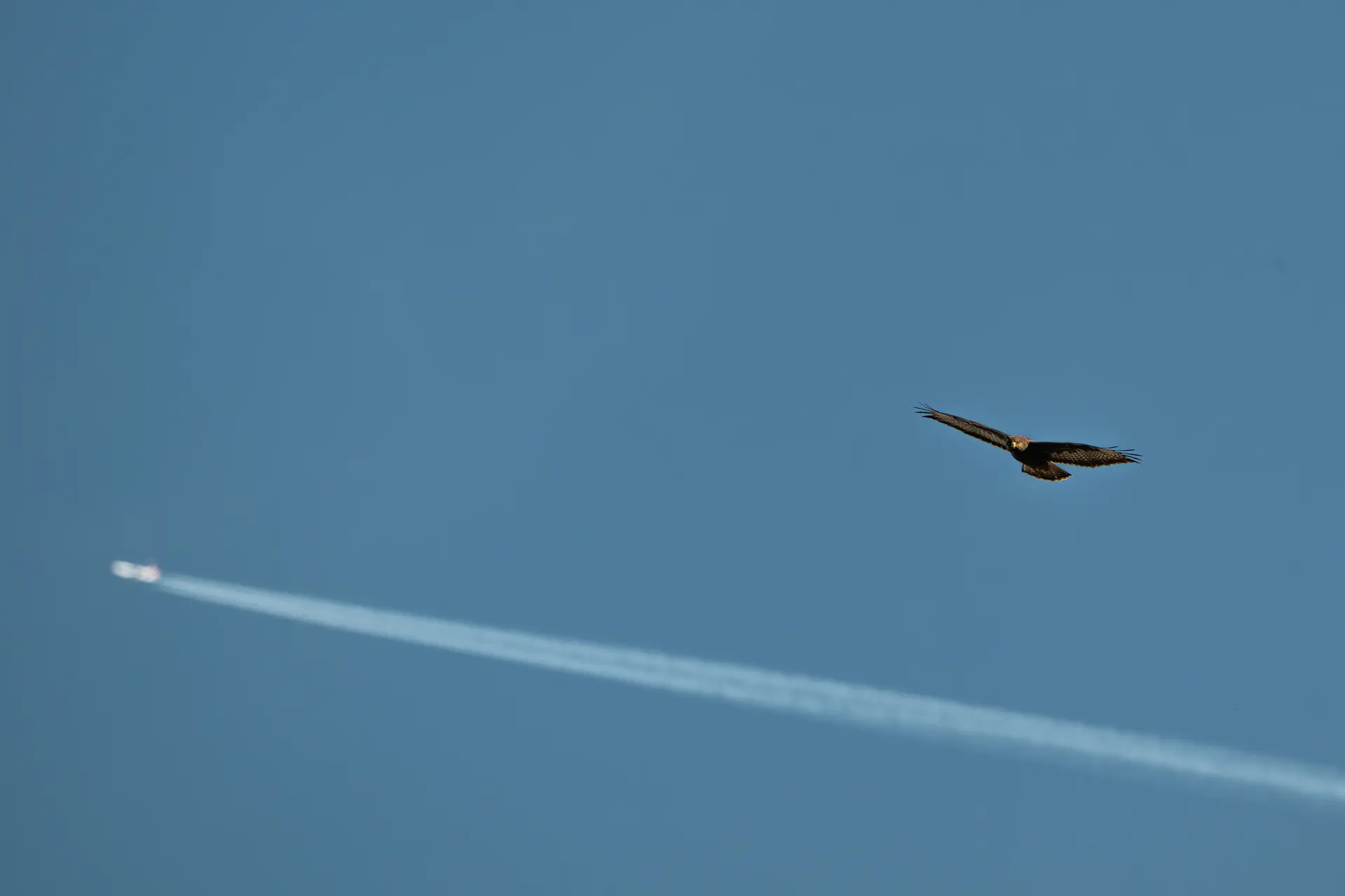 Wejście do karpackiego dworku od strony ogrodu oraz dwa rozłożone leżaki